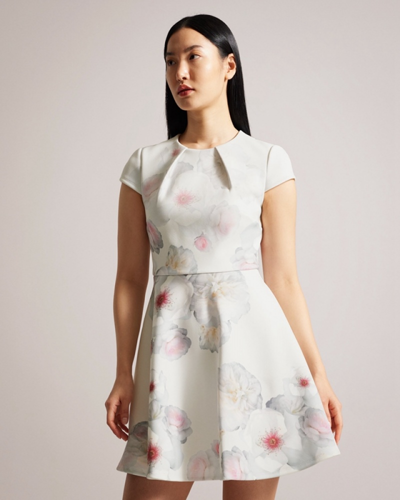 Blue Ted Baker Trinia Printed Skater Women's Dress | 372496-IMY