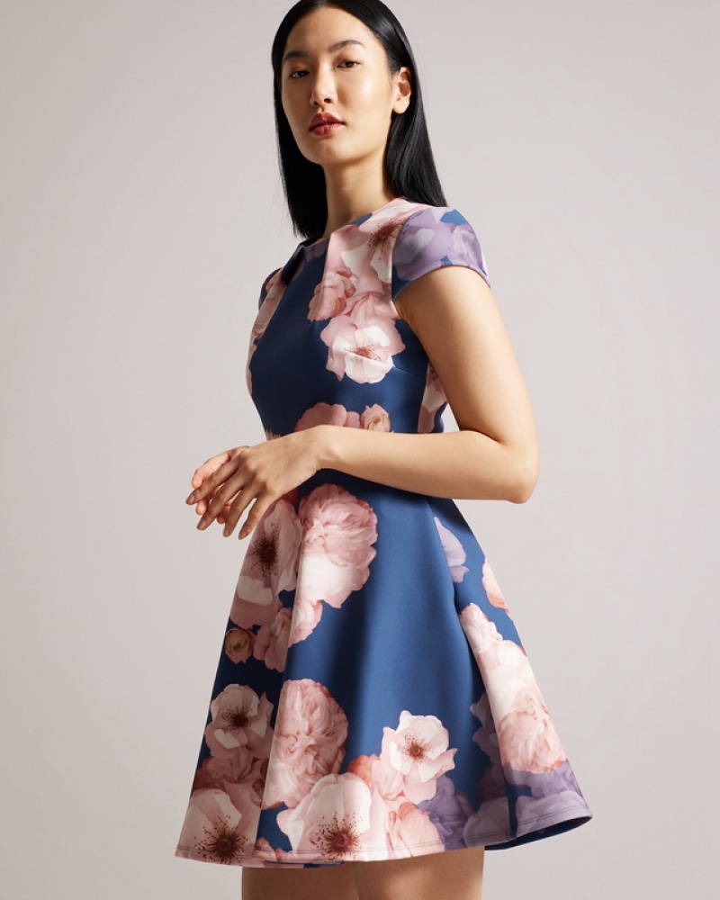 Blue Ted Baker Trinia Printed Skater Women's Dress | 372496-IMY