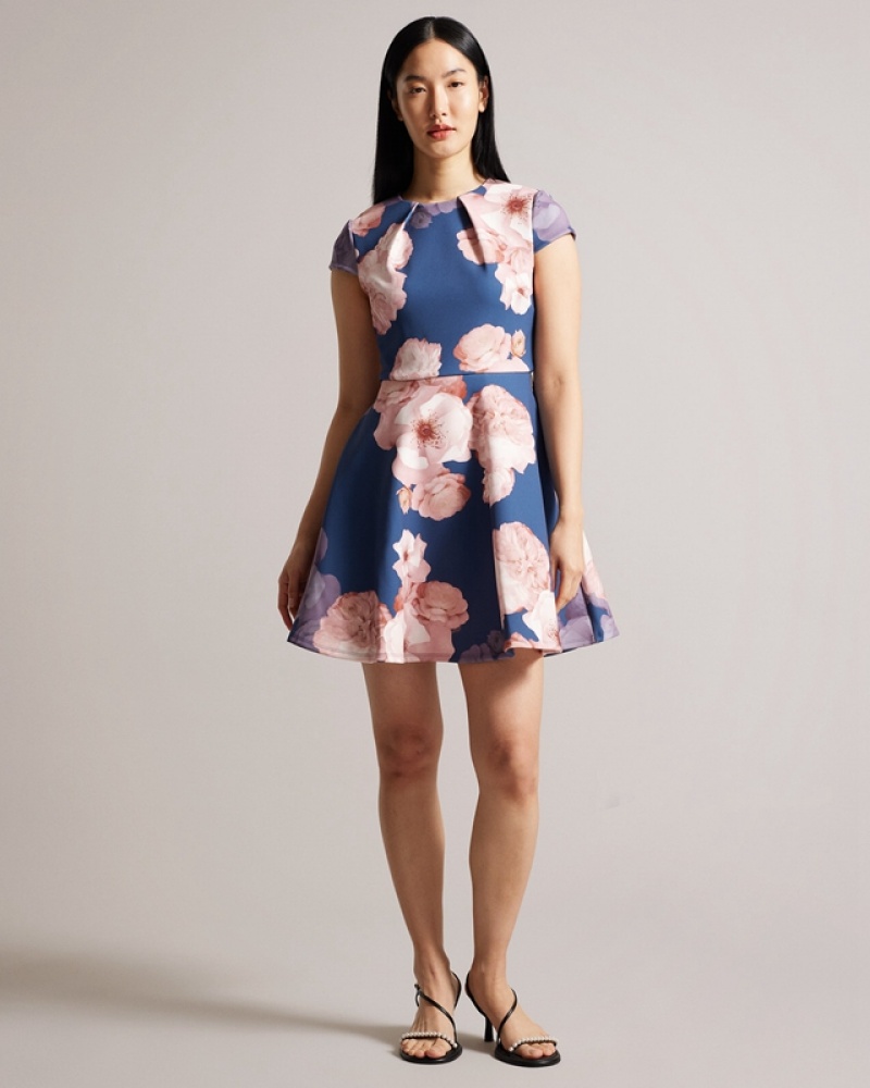 Blue Ted Baker Trinia Printed Skater Women's Dress | 372496-IMY