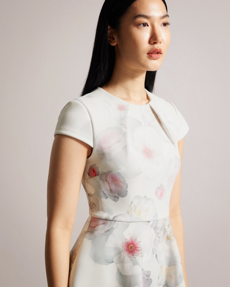 Blue Ted Baker Trinia Printed Skater Women's Dress | 746319-PEC